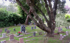 friends of the family pet cemetery